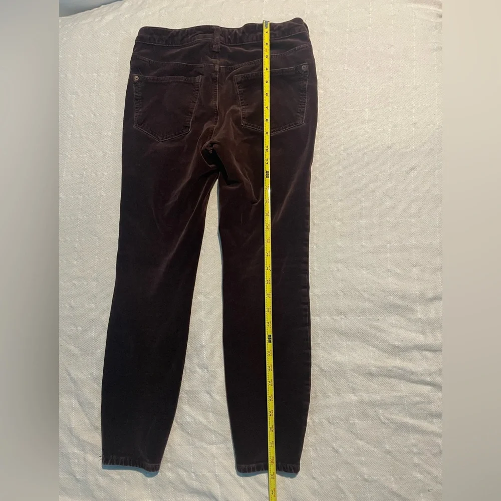 Pilcro anthropologie corduroy